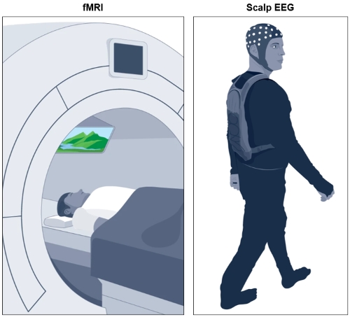 Functional MRI and scalp EEG methods